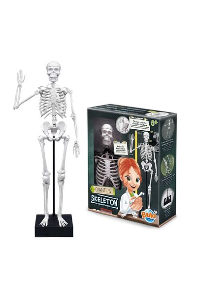 Buki France Giant Skeleton 45 Cm - Anatomy For Children