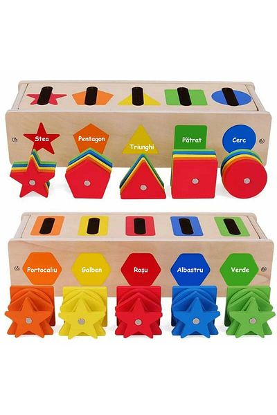 Micostore Shape and Color Sorter Toy, Classification and Magnetic Fishing Game in Romanian