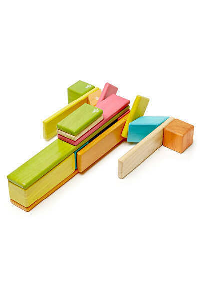 Tegu Tints, Set 24 Piese Din Lemn Magnetic