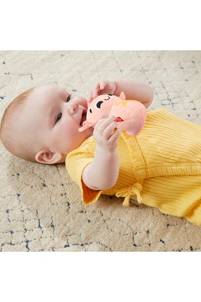 FISHER PRICE Fisher-price Sensory Action Play Set