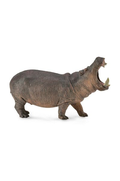 Collecta Hippopotam