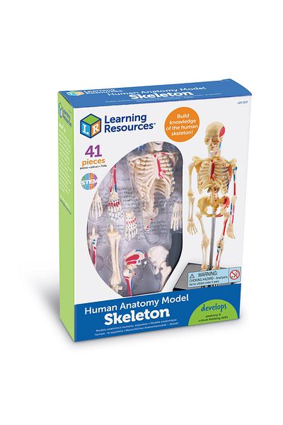 Learning Resources Macheta Corpul Uman - Schelet