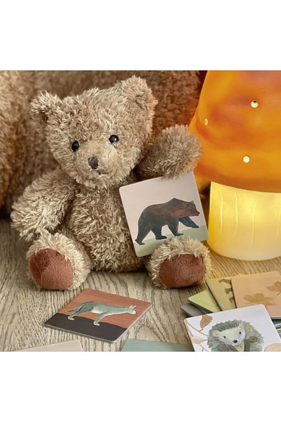 Egmont Toys Joc Memo Pădure,