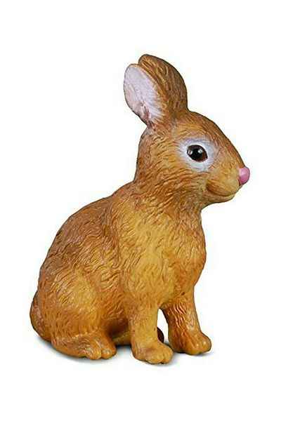 Collecta Προμήθειες κουνελιών