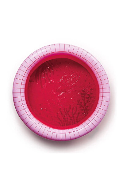 Quut Toys Dippy, Piscina Copii Gonflabila, 120 Cm, 3 Culori,