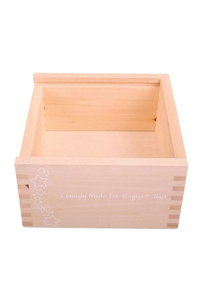 BIGJIGS Toys My First Sorting Box