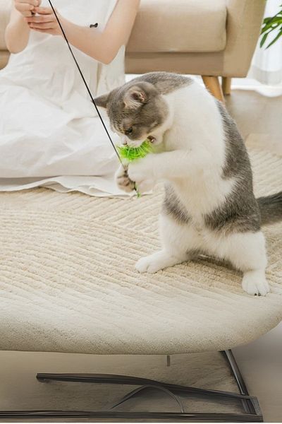 FORSEİ LUCA Feather Cat Playstick with Suction Cup, Rattle Cat Toy, Cat Exercise Apparatus