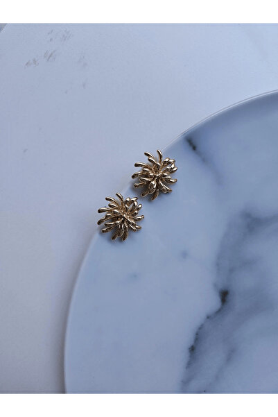 Vola Collection أقراط المرجان VIP