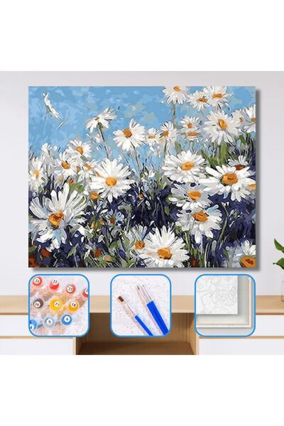 Pastelya Sayılarla Boyama Seti Çerçeveli Kasnaklı Papatyalar 40 x 50 Cm