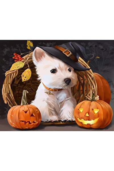 Pastelya Sayılarla Boyama Seti Çerçeveli Kasnaklı Cadılar Bayramı Ve Köpek 60 x 75 cm