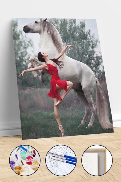 kendinyaphobi Asil At ve Asil Güzel Sayılarla Boyama Seti Çerçeveli Kasnaklı