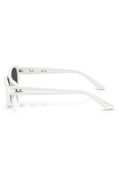 Ray-Ban Rb4457D 677287   55 Unisex Sunglasses