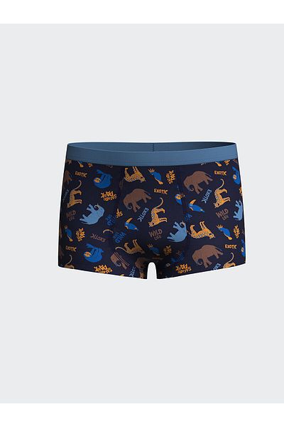 LC Waikiki Printed Boy's Boxer Set of 3