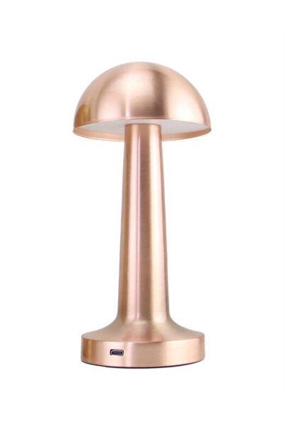 Genel Markalar Panther PT-700 USB ŞARJLI MASA LAMBASI DEKORATİF ÜRÜN