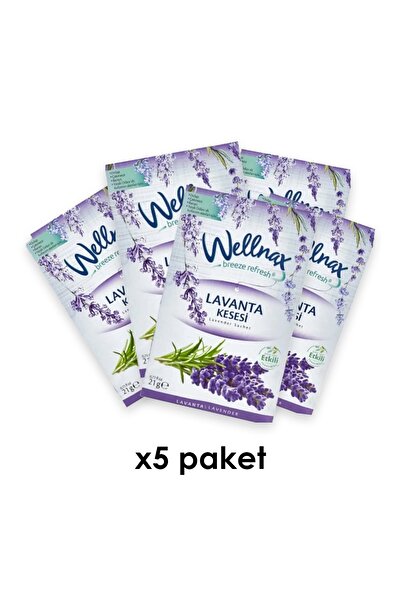 Wellnax Askılı Çekmece ve Dolap Koku Kesesi - Lavanta - 5 Adet
