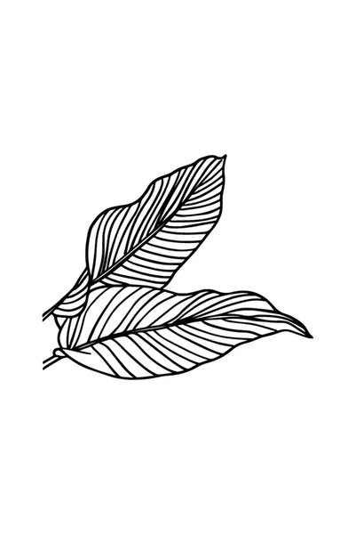 Generic Brand Modern Leaves Sticker Auto Motor Laptop Wall Foil Sticker 25x20 cm