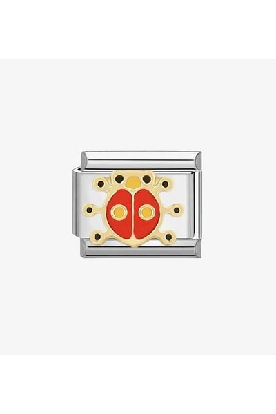 YOUES JEWELRY 9mm Unisex Steel Bracelet - Stainless, Ladybug and Charm Attachment Link