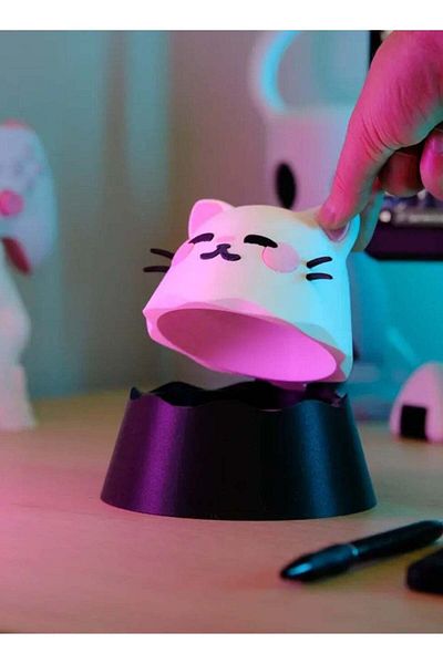 3D Brothers Charming Cat Treasure Box