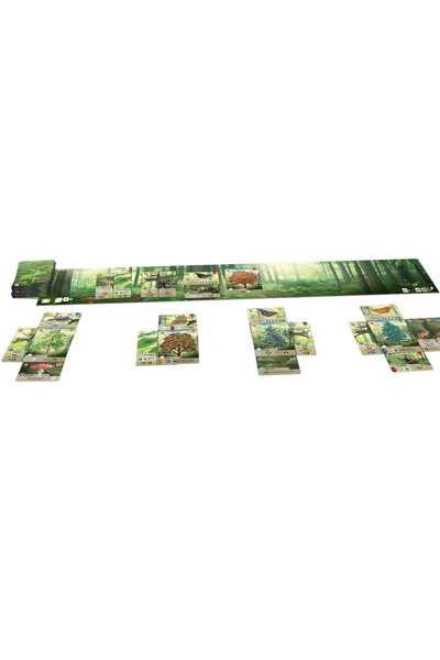 Asmodee Board game The Chosen Forest, Romanian language