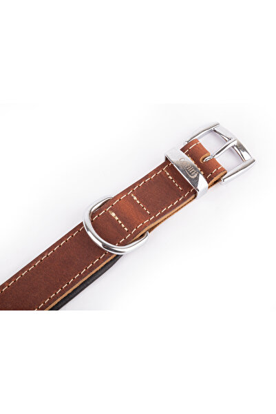 Canini Collar Hakiki Yağlı Deri Köpek Tasma, Yumuşak Deriden İç Kısım, Ultra Dayanıklı ve Konforlu Deri Tasma