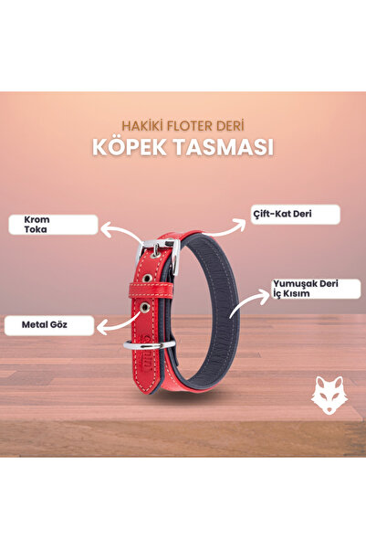 Canini Collar Hakiki Deri Köpek Tasması, Çift Katlı Deri, Ultra Dayanıklı Deri Tasma ve Ekstra Konforlu Deri Tasma