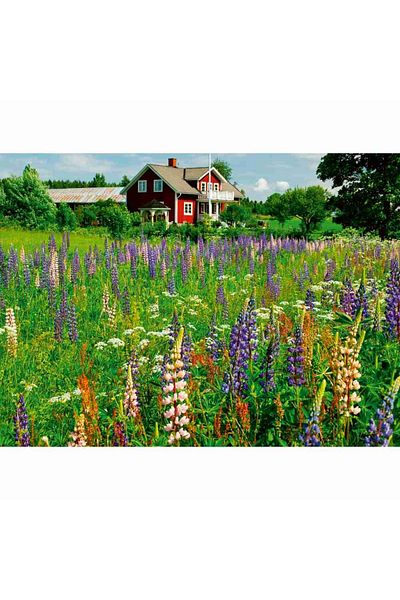 RAVENSBURGER - Farm in Sweden puzzle 500 pieces