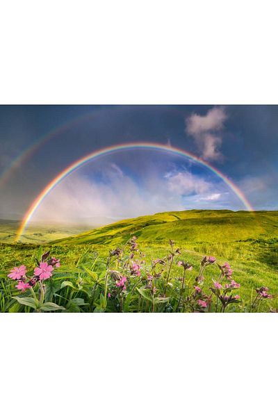 RAVENSBURGER - Rainbow puzzle 1500 pieces