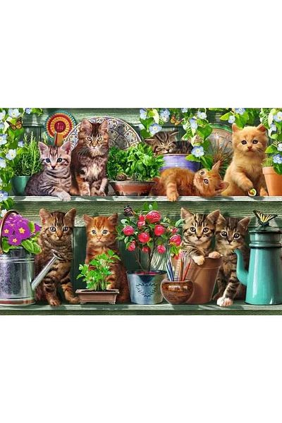 RAVENSBURGER - Cats on a shelf puzzle 500 pieces new design