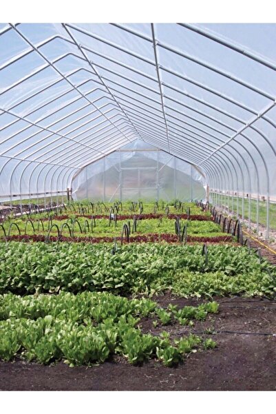 Genel Markalar 8x15 Mt Kalın 36 Ay Sera Örtüsü Sera Naylonu 400 Micron Uv Eva...