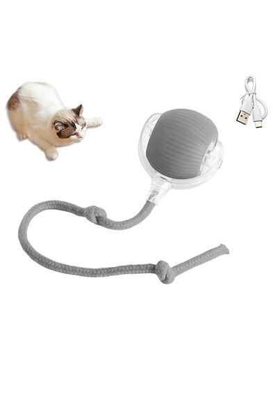 Choice 1PC Grey 1/2PCS Interactive Cat Toys Ball Auto Electric Rolling Ball Toys for Cats/Kitty Pets Smart