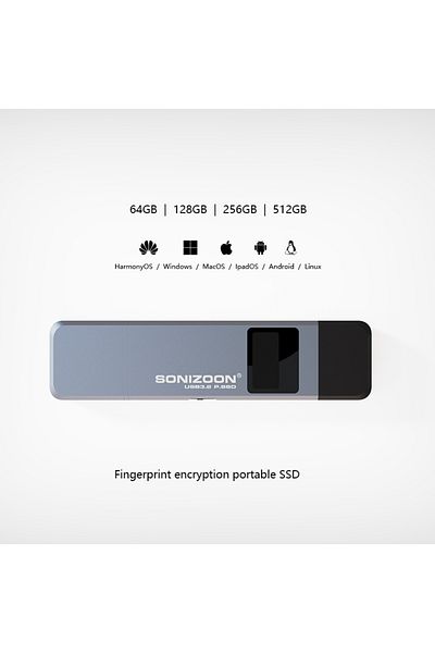 SONIZOON قرص SSD محمول بسعة 256 جيجابايت مع تشفير بصمة الإصبع رمادي اللون، سعة 128/256/512 جيجابايت، وظيفة حماية الكتابة، قرص صلب