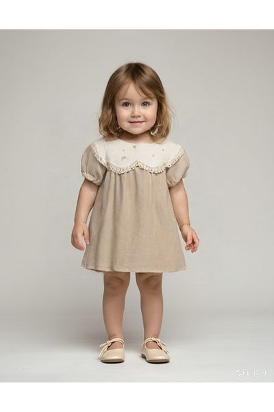 damdamin Baby Girls Floral Embroidery and Lace Trim Bib Collar & Short Balloon Sleeves Lined Zipper Dress
