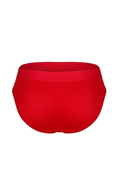 bazaar-turkey all you need Men's Antibacterial Elastic Bamboo Slip 6306 Red