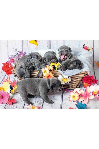 RAVENSBURGER Puzzle Catelusi, 2X12 Piese