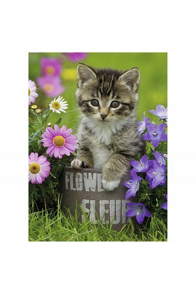 RAVENSBURGER Puzzle Kitten Among Flowers, 100 Pieces