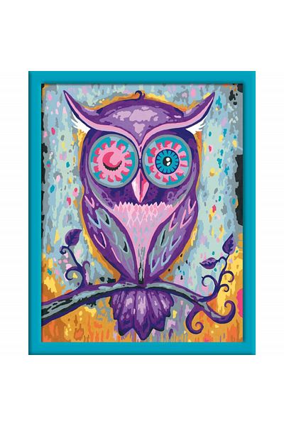 RAVENSBURGER Paint By Numbers - Owl