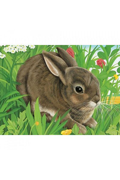 RAVENSBURGER Puzzle In Cutie Animale, 12 Piese