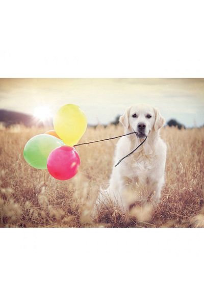 RAVENSBURGER Puppy With Balloons Puzzle, 500 Pieces