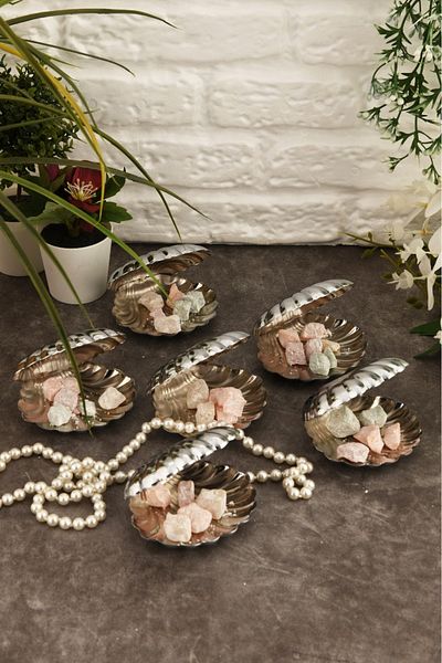 AKSESUAR EVRENİ Brano 6-Piece Coffee Side Oyster Turkish Delight Bowl