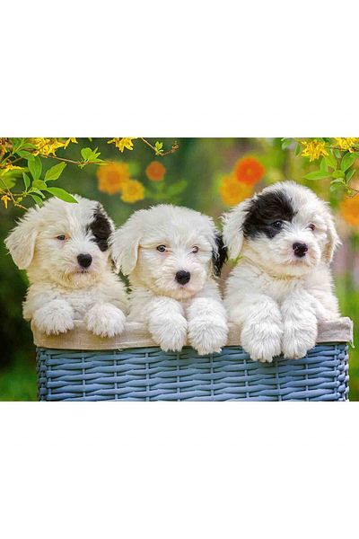 RAVENSBURGER Puppies Puzzle, 200 Pieces