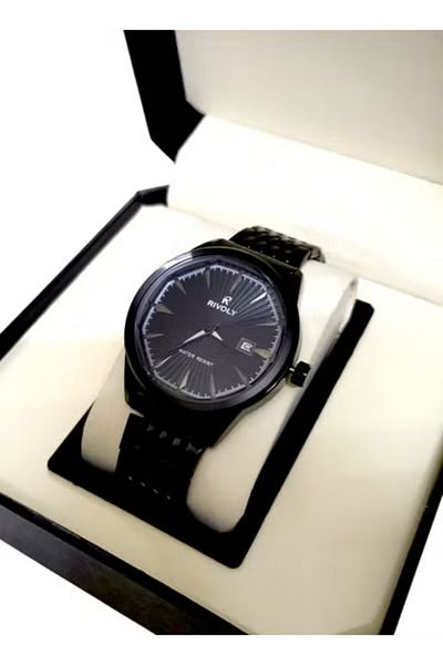 Rivoly Fashionable Men's Watch with Date in Stainless Steel