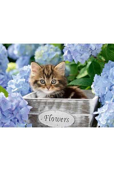RAVENSBURGER Puzzle Kitten Among Flowers, 300 Pieces