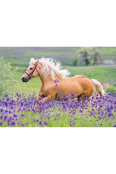 RAVENSBURGER Horse Puzzle, 2X24 Pieces