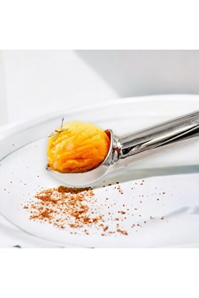 Pintinox Stainless steel spoon for medium ice cream scoops, Pintinox Gelato, 6 cm