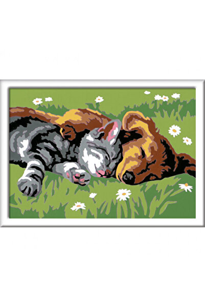 RAVENSBURGER Pictura Pe Numere - Catelus Si Pisicuta