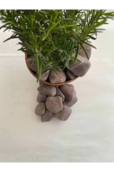 - Dolomit Bordo Renkli Taş ( 4-6 cm. Boy / 10 kg. ) Bahçe Dekoratif Çakıl Taşı