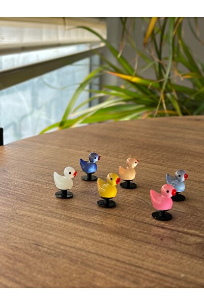 Crocs Jibbitz Terlik Süsü ÖRDEKLER  5 ADET  aydınlatma ördekleri