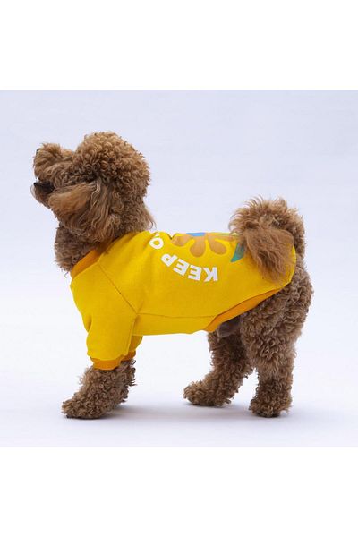 Pawstar Yellow Lahti Cat Dog Sweat - Cat Dog Outfit