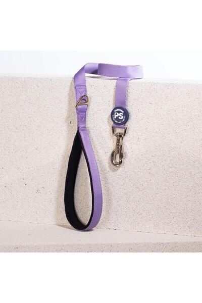 Pawstar L10 Lilac Delivery Strap-2Cm