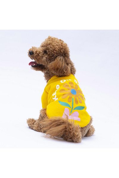 Pawstar Yellow Lahti Cat Dog Sweat - Cat Dog Outfit